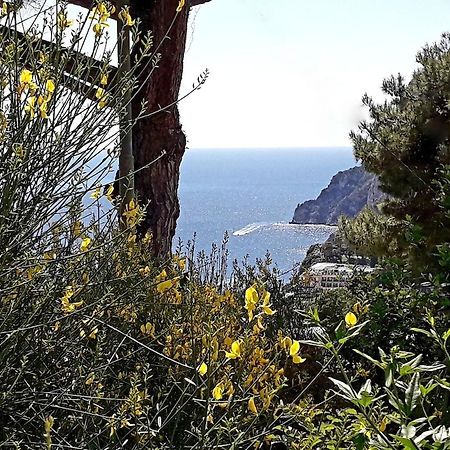 Villetta Rosetta Capri Luaran gambar