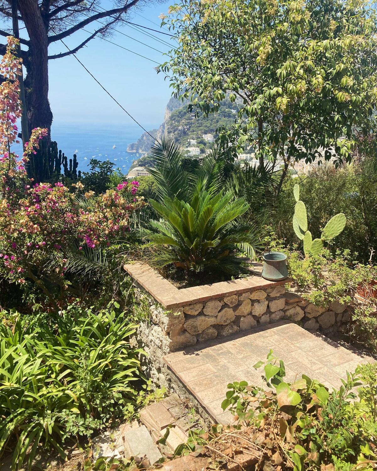 Villetta Rosetta Capri Luaran gambar