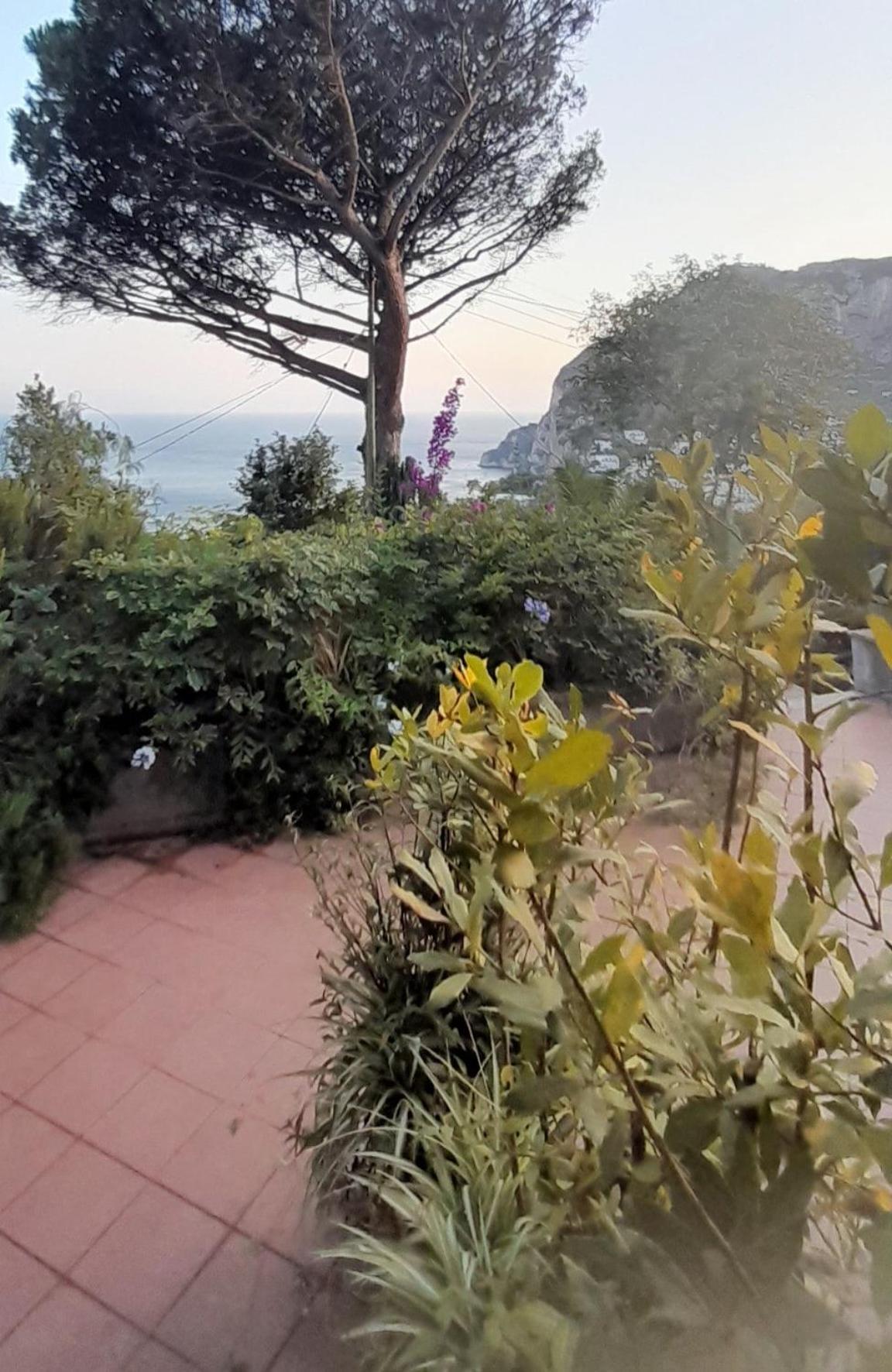 Villetta Rosetta Capri Luaran gambar