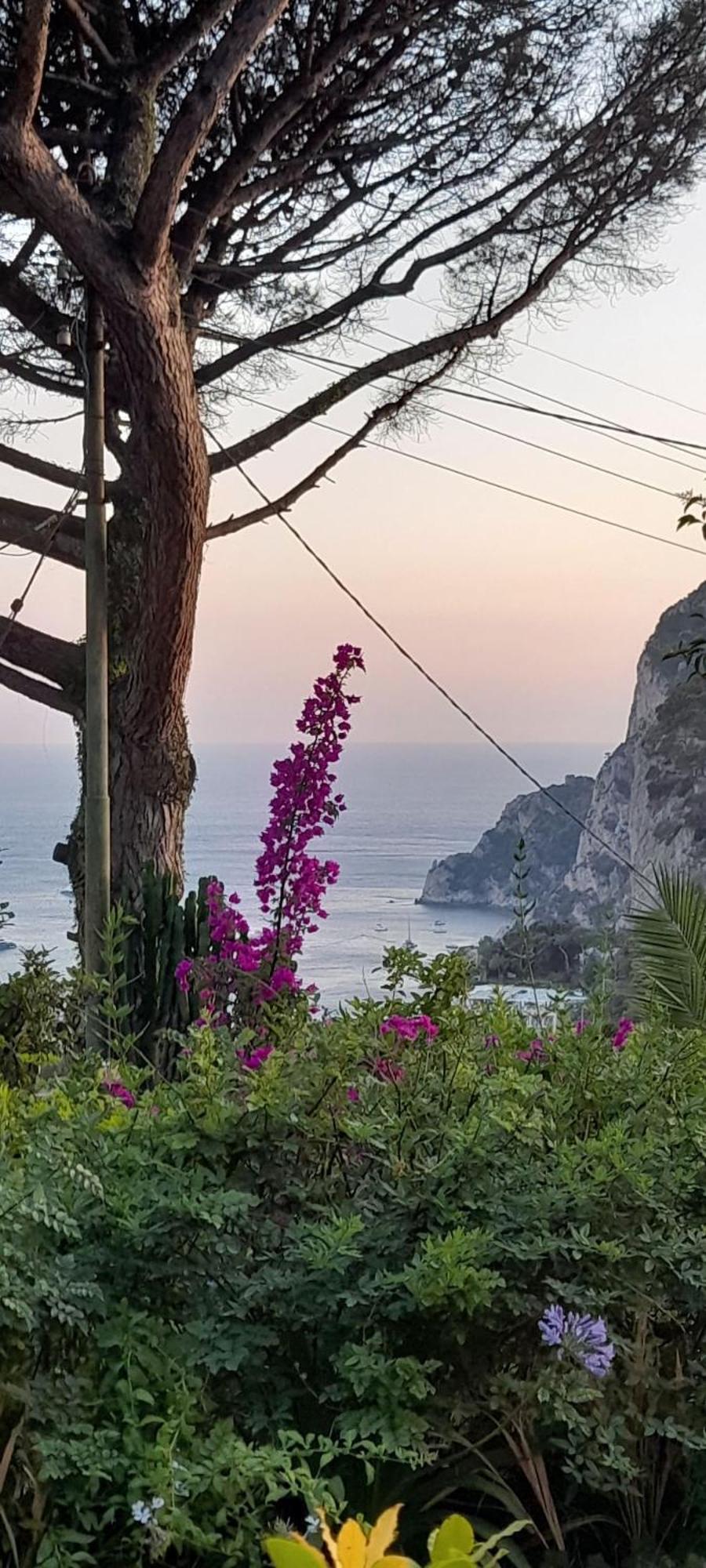 Villetta Rosetta Capri Luaran gambar