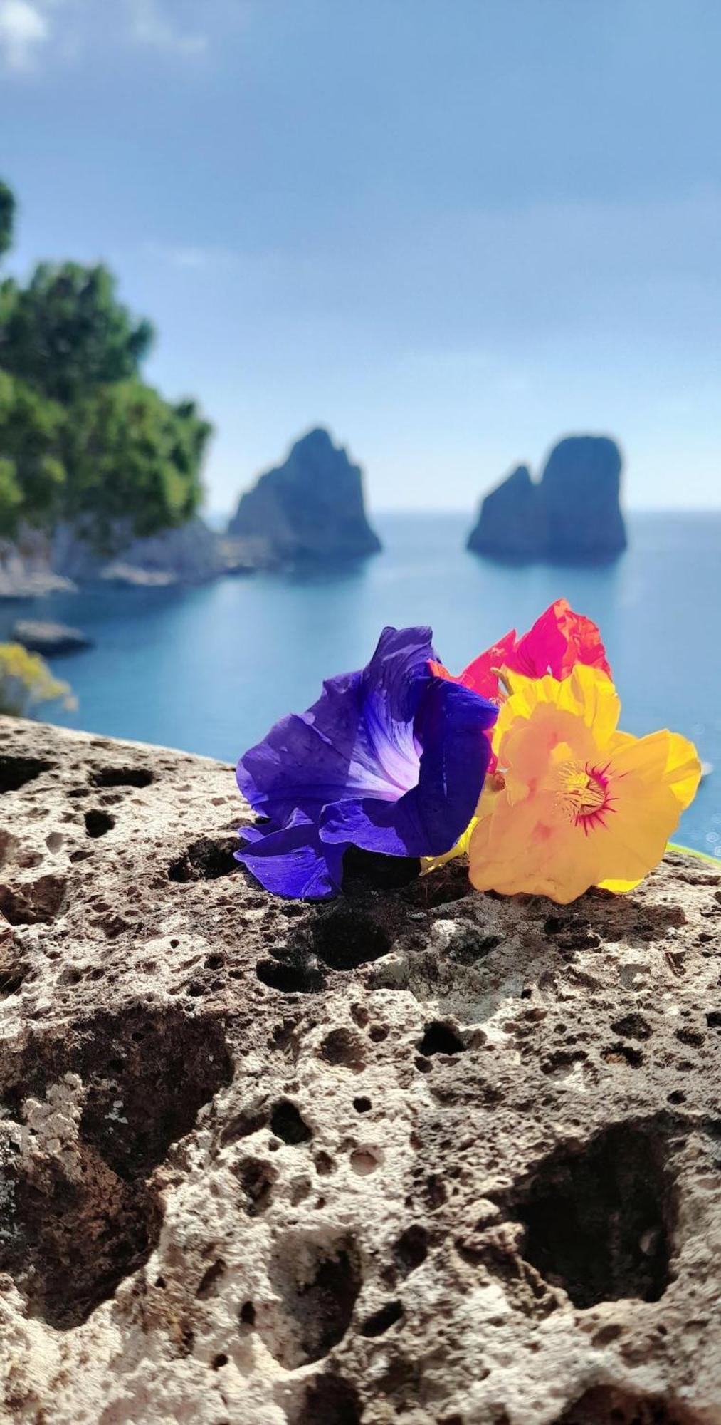Villetta Rosetta Capri Luaran gambar