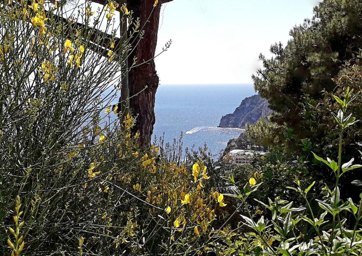 Villetta Rosetta Capri Luaran gambar