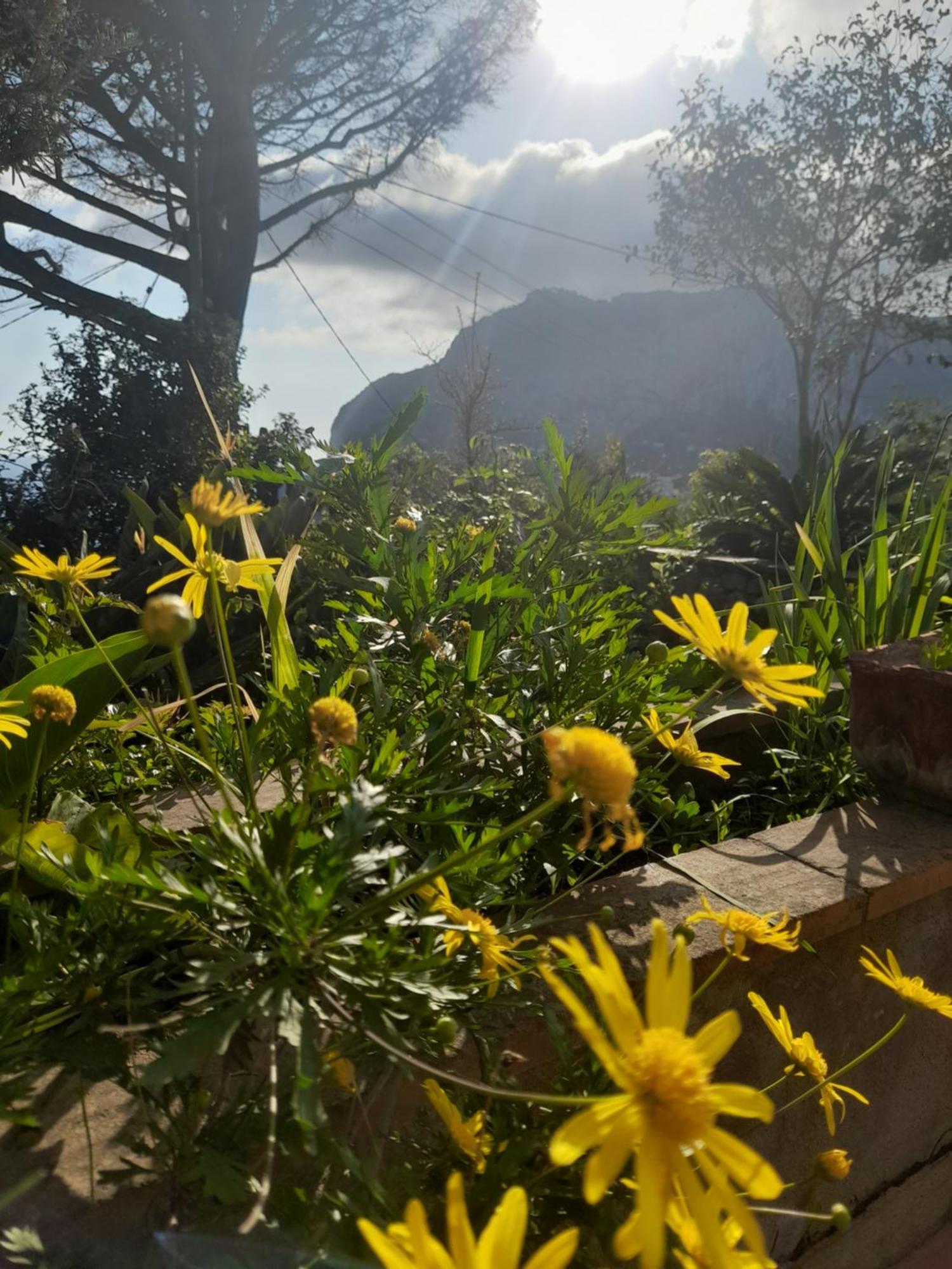 Villetta Rosetta Capri Luaran gambar
