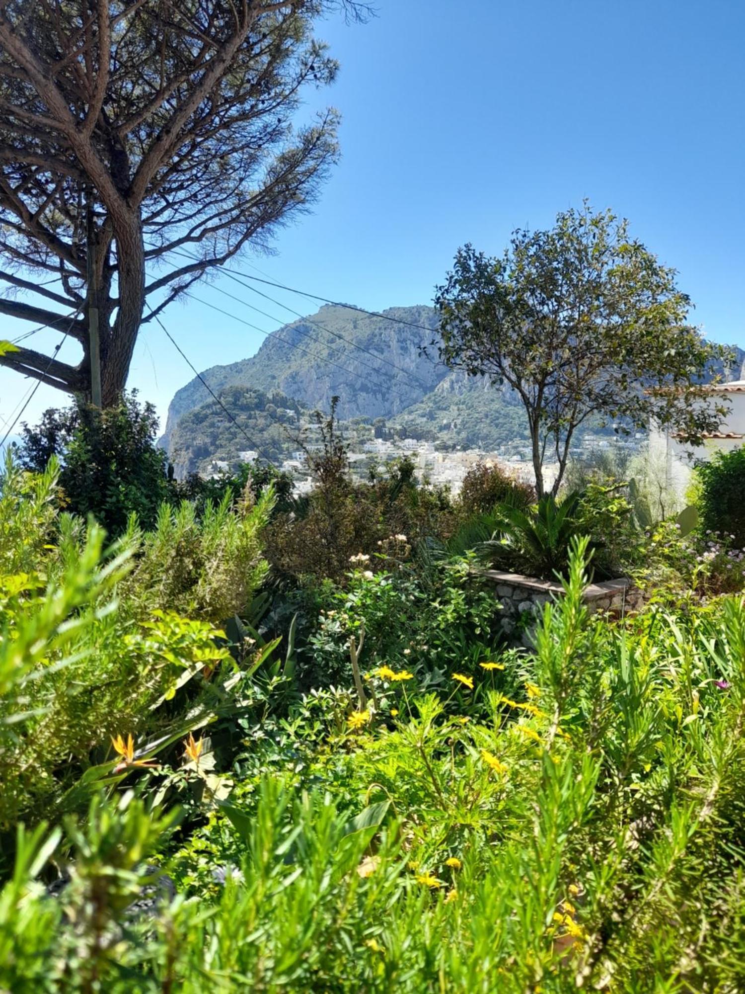 Villetta Rosetta Capri Luaran gambar
