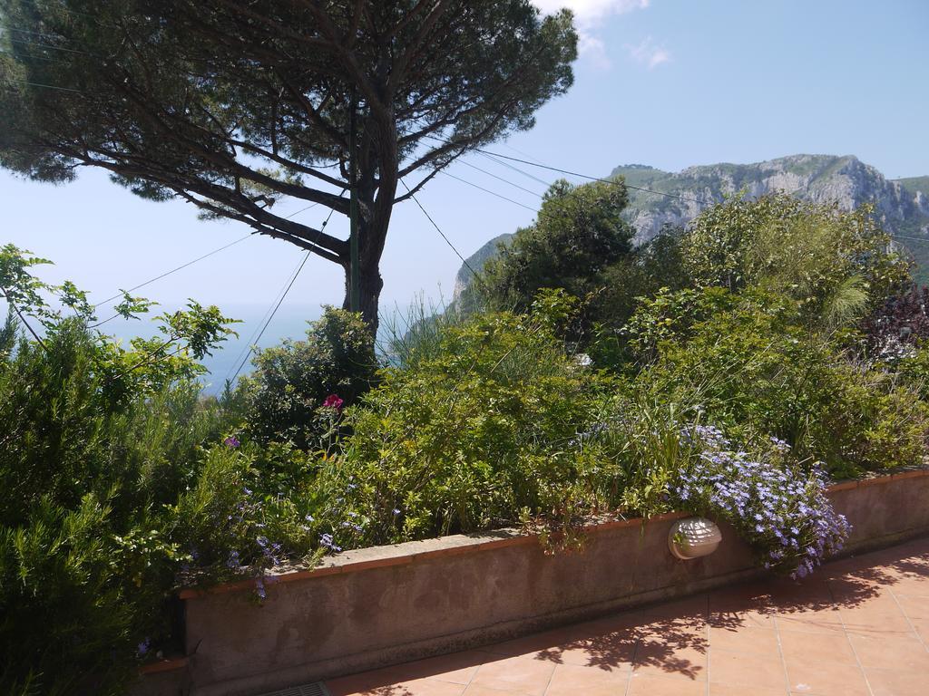 Villetta Rosetta Capri Luaran gambar