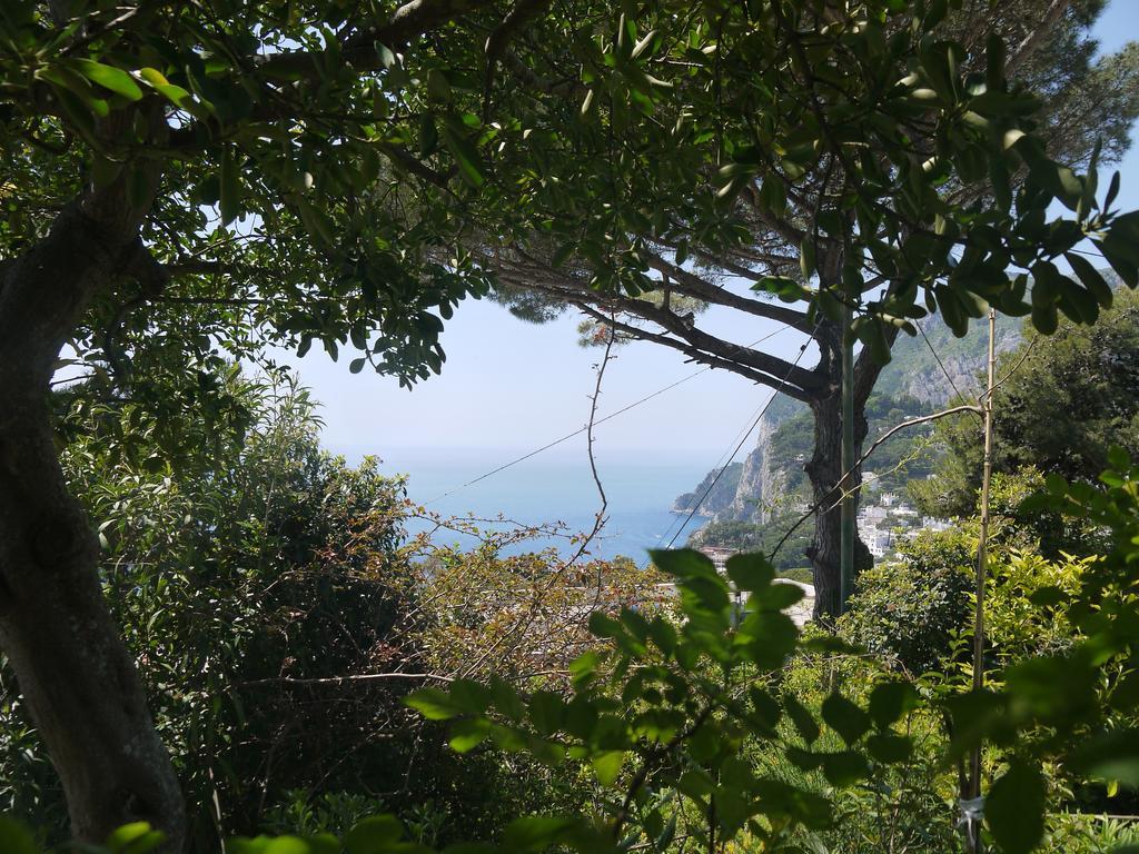 Villetta Rosetta Capri Luaran gambar